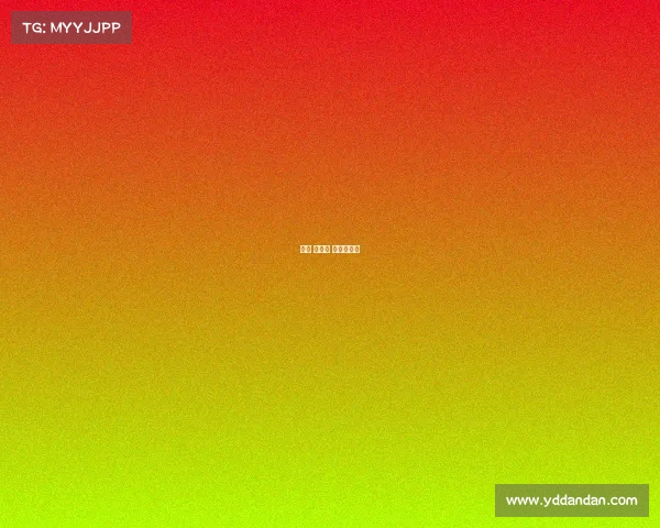 赛事 主办方 资质怎么填